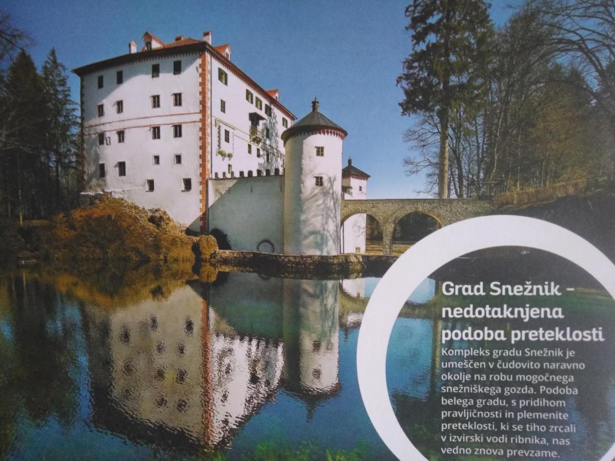 Prenocisca Miklavcic Hotell Nova Vas  Eksteriør bilde