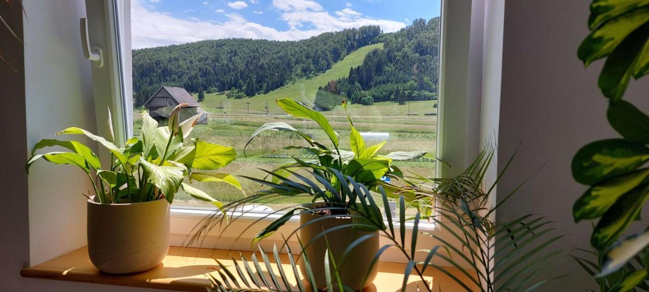 Prenocisca Miklavcic Hotell Nova Vas  Eksteriør bilde