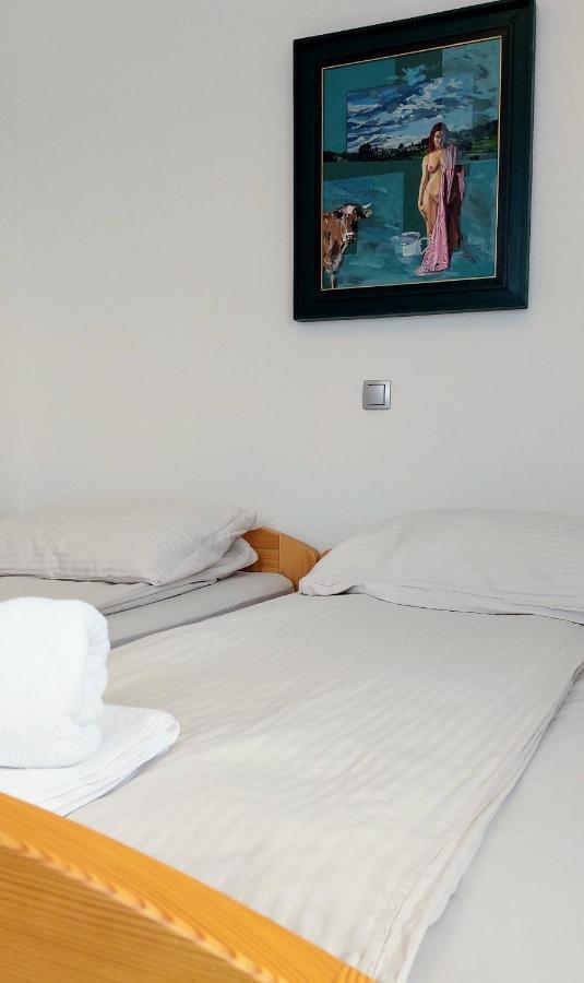 Prenocisca Miklavcic Hotell Nova Vas  Eksteriør bilde